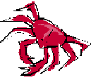 crab