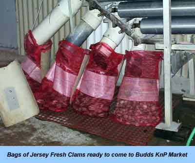 Seafood — main picture at Budds KnP Farms & Country Market, Pemberton NJ